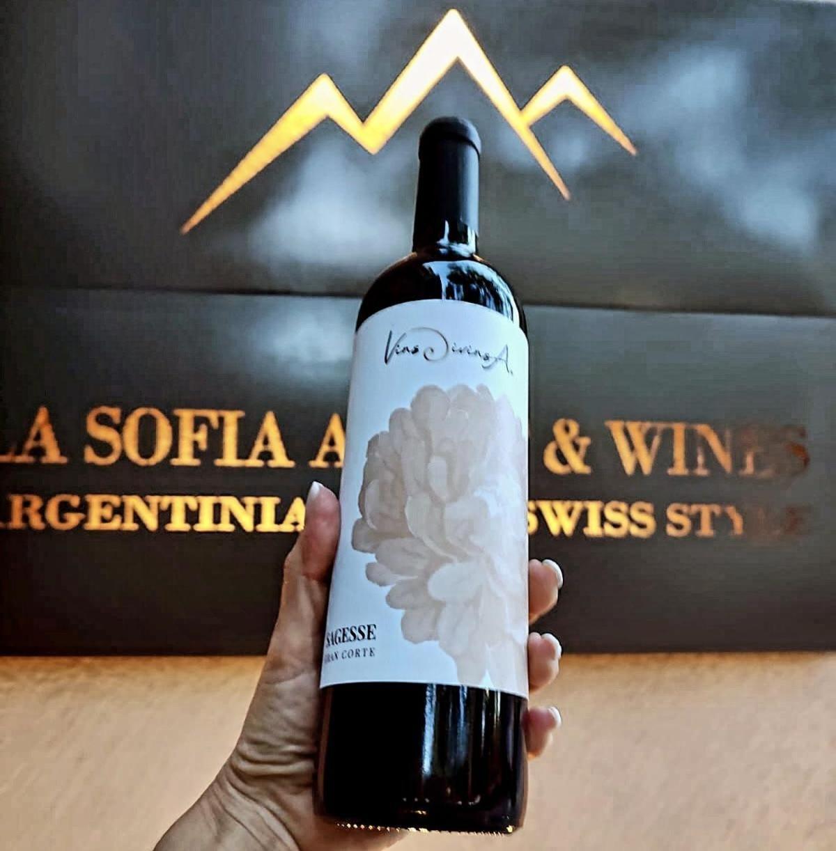 La Sofia Apart & Wines Mendoza Esterno foto